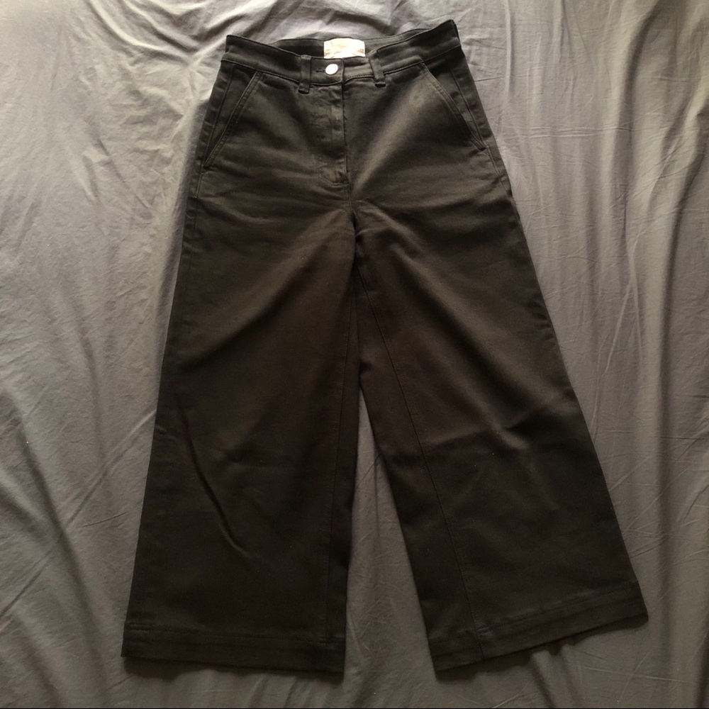 Everlane Wide Leg Pants (Cropped)